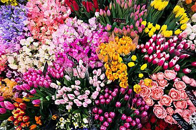 《星球大战：亡命之徒》Steam版将于11月21日发售